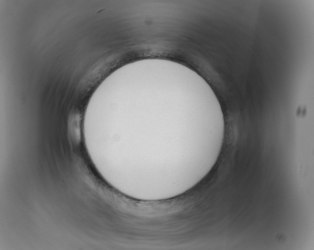 X0000111250022200907231604