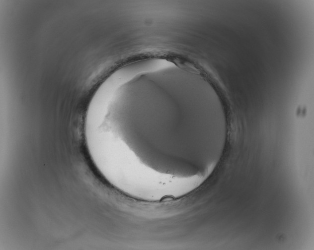 X0000111250023200907231604