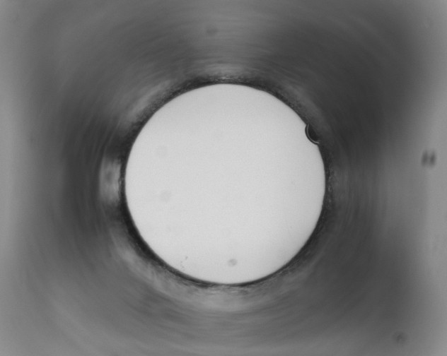 X0000111250024200907231604