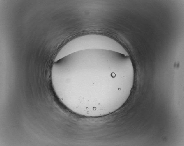 X0000111250025200907231604