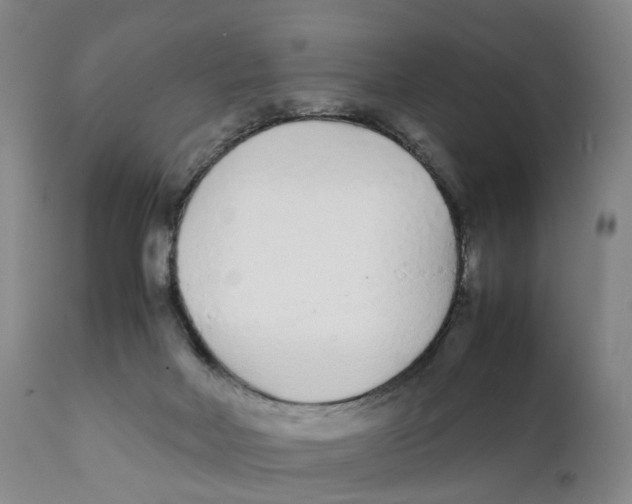 X0000111250026200907231604