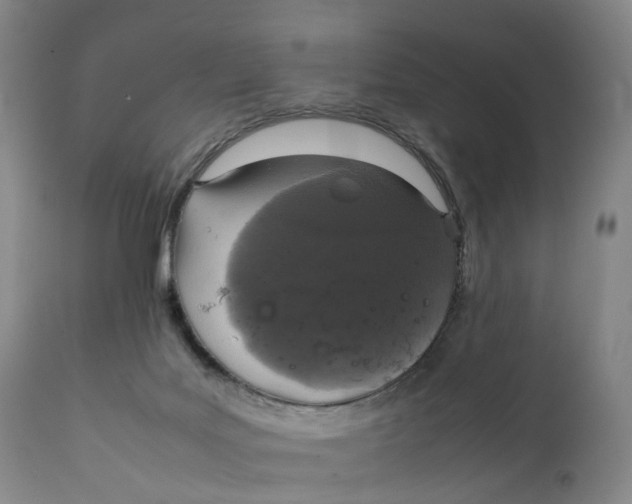 X0000111250027200907231604