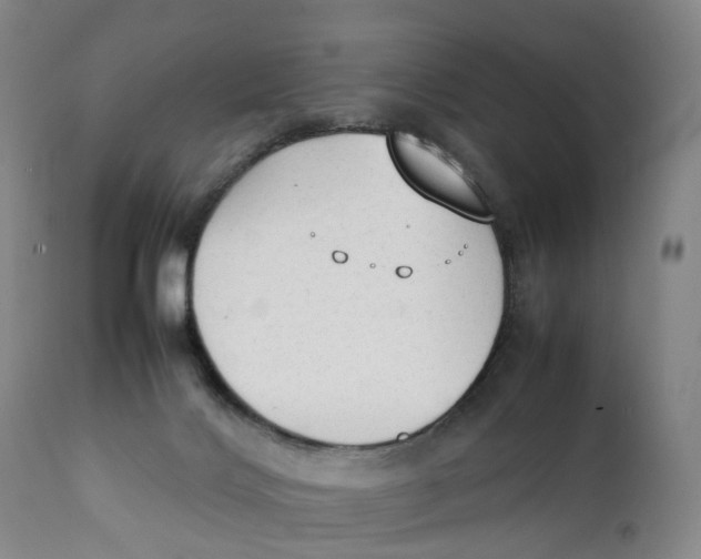 X0000111250028200907231604