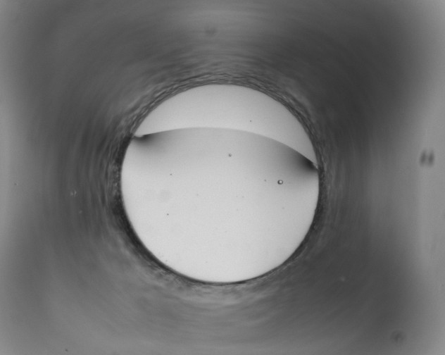 X0000111250029200907231604