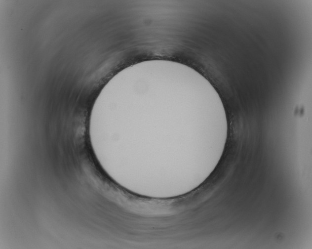 X0000111250032200907231604