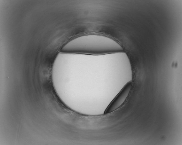 X0000111250033200907231604