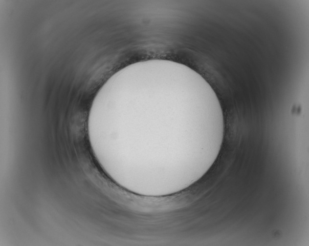 X0000111250034200907231603