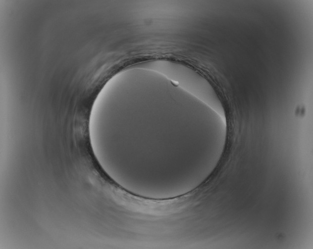 X0000111250035200907231603