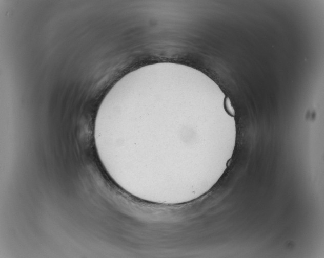 X0000111250040200907231603