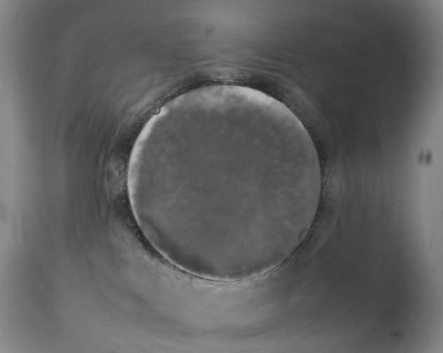 X0000111250043200907231603