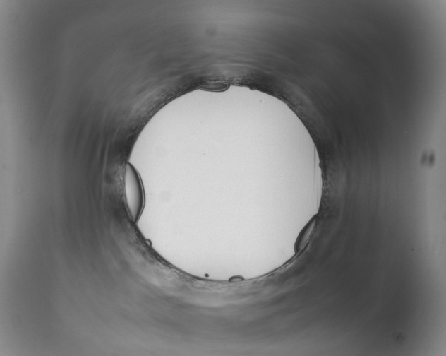 X0000111250045200907231603