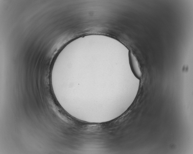 X0000111250050200907231603