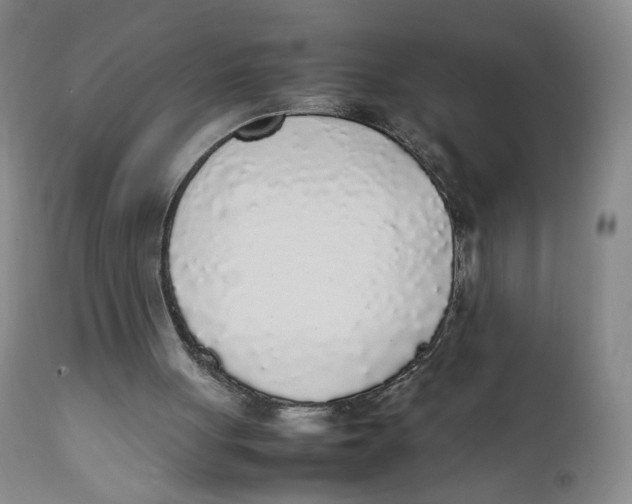 X0000111250051200907231603