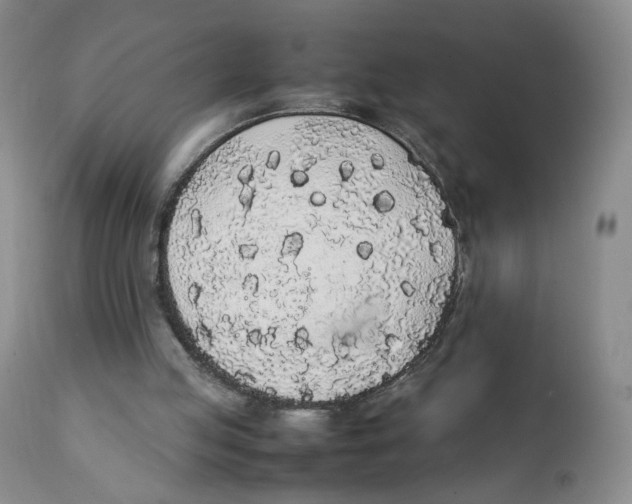 X0000111250053200907231603