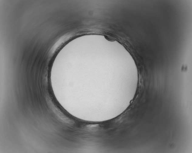 X0000111250054200907231603