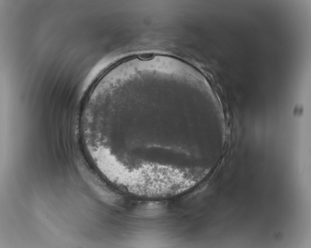 X0000111250056200907231603