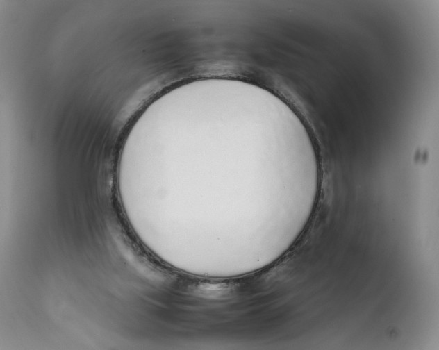 X0000111250059200907231603