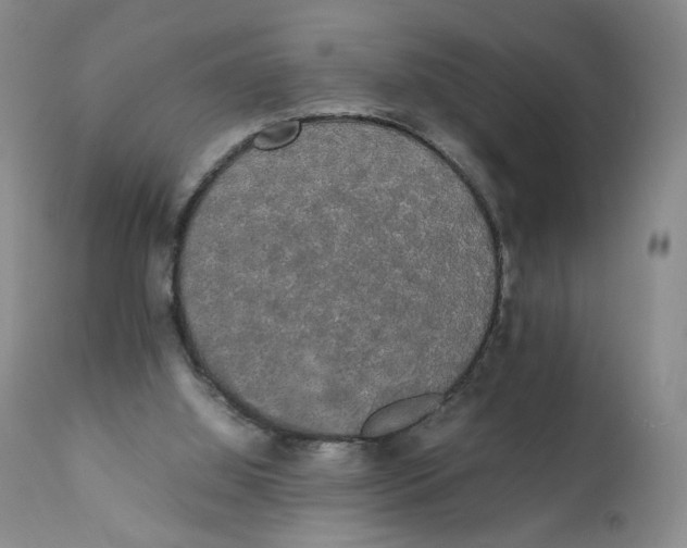 X0000111250060200907231603