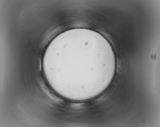 X0000111250061200907231603