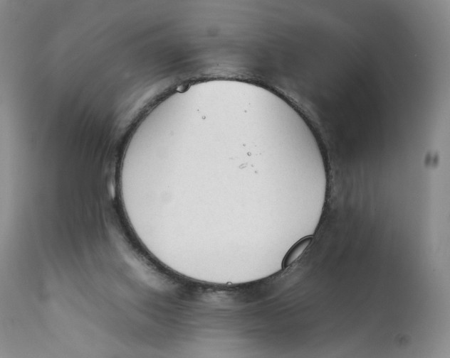 X0000111250062200907231603