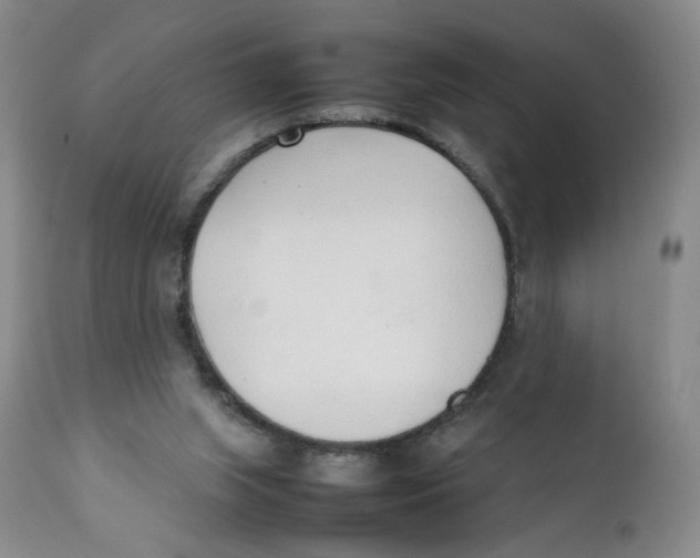 X0000111250063200907231603