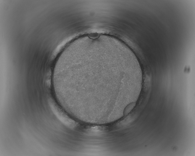 X0000111250064200907231603