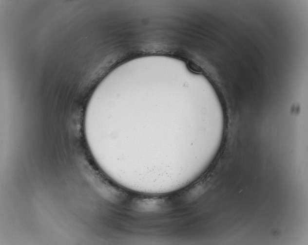 X0000111250065200907231603