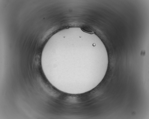 X0000111250071200907231603