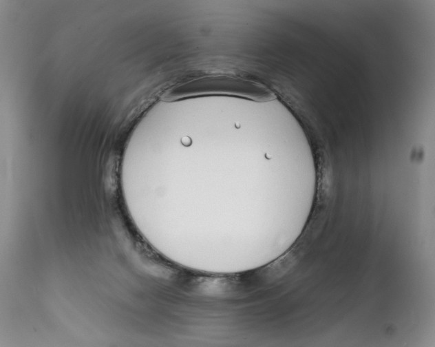 X0000111250074200907231603