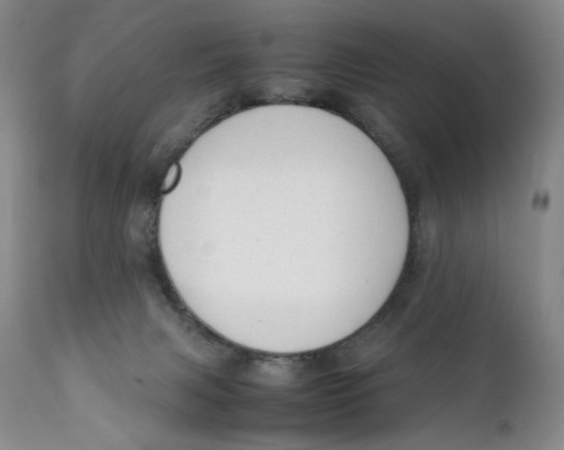 X0000111250079200907231603