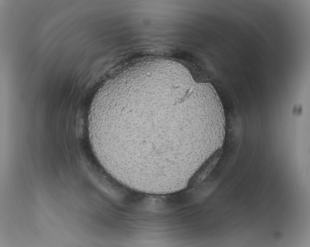 X0000111250080200907231603