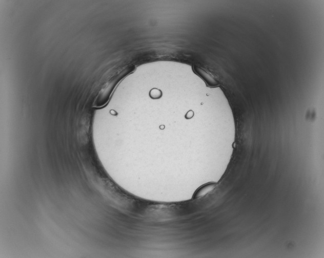 X0000111250082200907231603