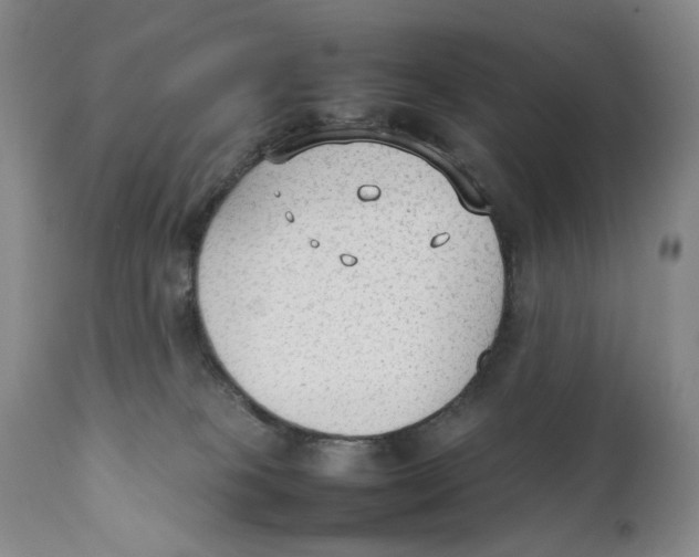 X0000111250085200907231603