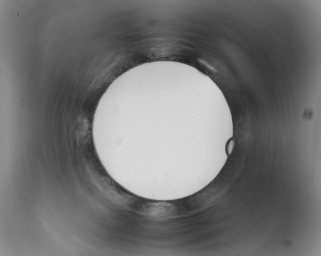 X0000111250087200907231603