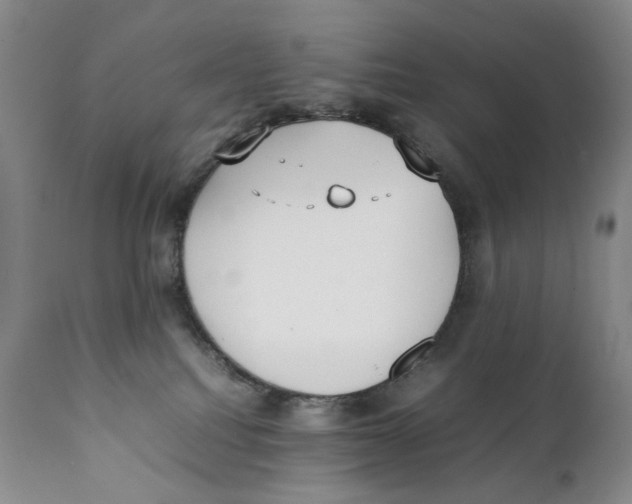 X0000111250088200907231603