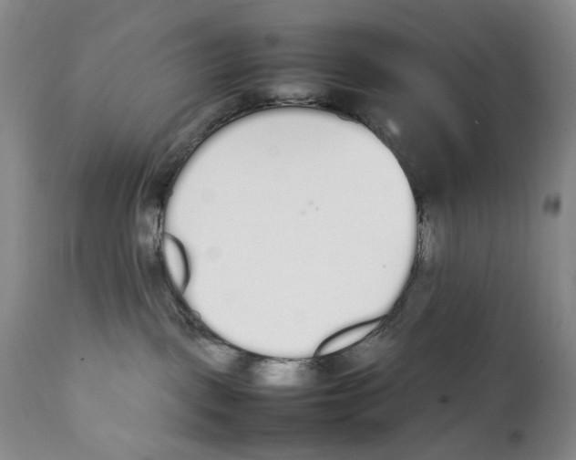 X0000111250093200907231603