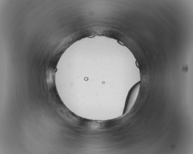 X0000111250094200907231603