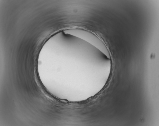 X0000111250097200907231603