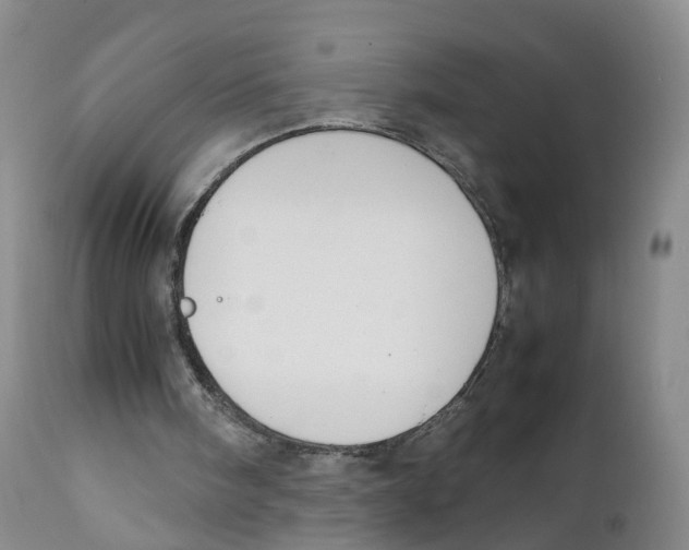 X0000111250098200907231602