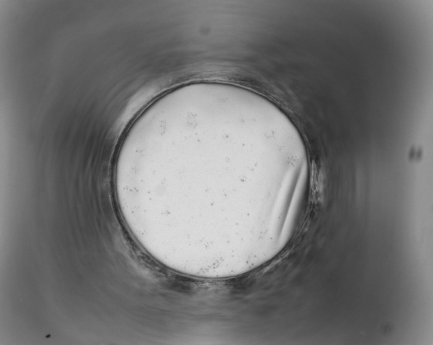 X0000111250099200907231602