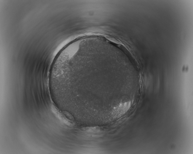 X0000111250100200907231602