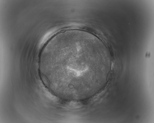 X0000111250101200907231602