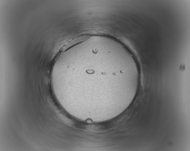 X0000111250105200907231602