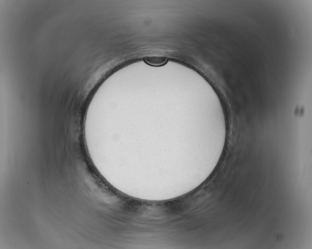 X0000111250107200907231602