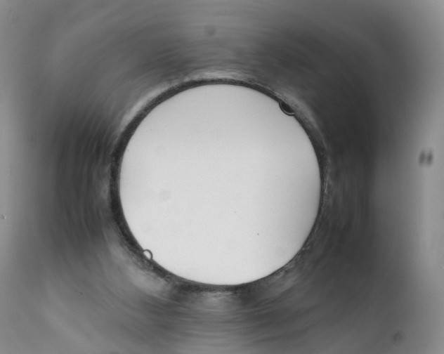 X0000111250108200907231602