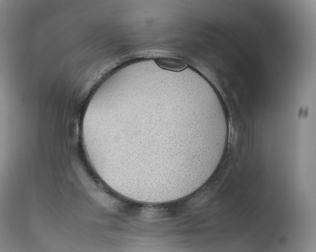 X0000111250109200907231602