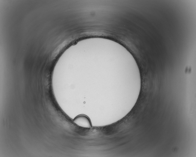 X0000111250111200907231602