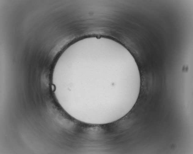 X0000111250112200907231602