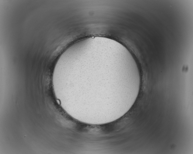 X0000111250113200907231602