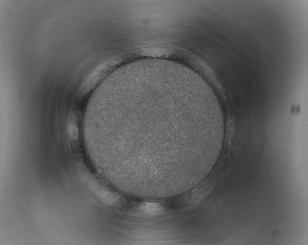 X0000111250114200907231602